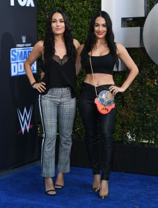 Brie Bella Sexy TheFappeningBlog.com 1.jpg