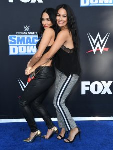 Brie Bella Sexy TheFappeningBlog.com 5.jpg