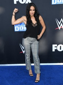 Brie Bella Sexy TheFappeningBlog.com 8.jpg