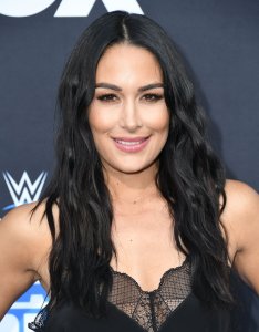 Brie Bella Sexy TheFappeningBlog.com 11.jpg