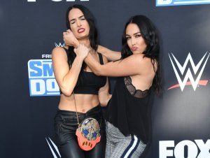 Brie Bella Sexy TheFappeningBlog.com 21.jpg
