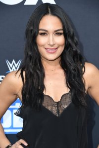Brie Bella Sexy TheFappeningBlog.com 19.jpg