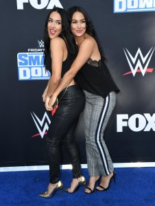 Brie Bella Sexy TheFappeningBlog.com 20.jpg