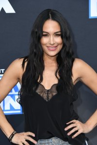Brie Bella Sexy TheFappeningBlog.com 23.jpg