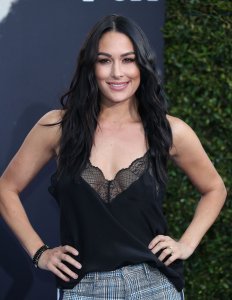 Brie Bella Sexy TheFappeningBlog.com 27.jpg