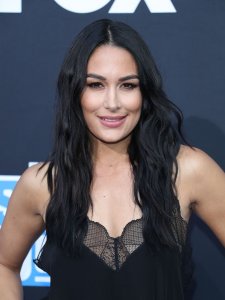 Brie Bella Sexy TheFappeningBlog.com 30.jpg