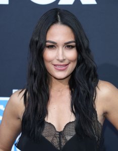 Brie Bella Sexy TheFappeningBlog.com 31.jpg