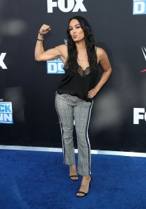 Brie Bella Sexy TheFappeningBlog.com 33.jpg