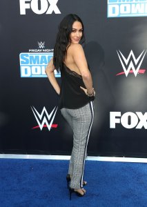 Brie Bella Sexy TheFappeningBlog.com 36.jpg