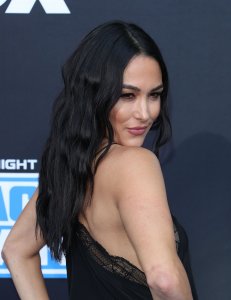 Brie Bella Sexy TheFappeningBlog.com 37.jpg
