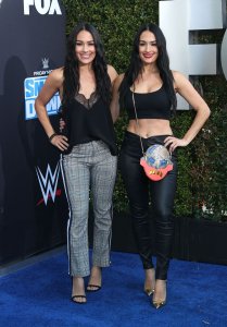 Brie Bella Sexy TheFappeningBlog.com 39.jpg