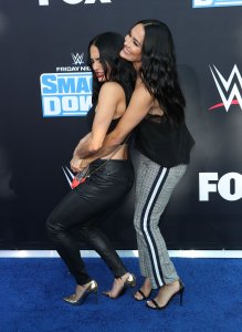 Brie Bella Sexy TheFappeningBlog.com 40.jpg