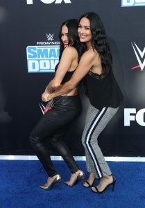 Brie Bella Sexy TheFappeningBlog.com 41.jpg