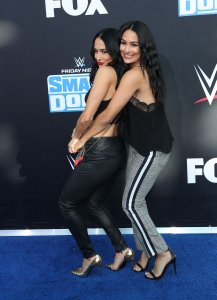 Brie Bella Sexy TheFappeningBlog.com 42.jpg