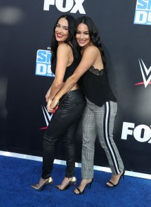 Brie Bella Sexy TheFappeningBlog.com 44.jpg