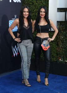 Brie Bella Sexy TheFappeningBlog.com 47.jpg