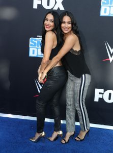 Brie Bella Sexy TheFappeningBlog.com 43.jpg