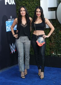 Brie Bella Sexy TheFappeningBlog.com 48.jpg