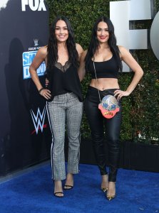 Brie Bella Sexy TheFappeningBlog.com 49.jpg