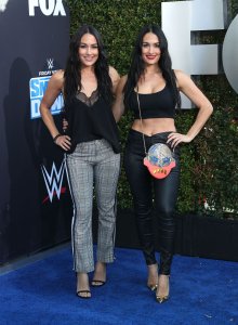 Brie Bella Sexy TheFappeningBlog.com 50.jpg