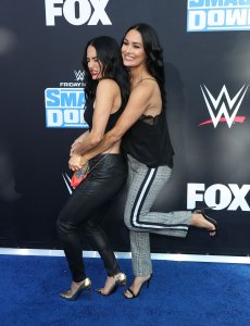 Brie Bella Sexy TheFappeningBlog.com 51.jpg