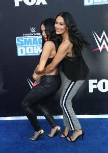 Brie Bella Sexy TheFappeningBlog.com 52.jpg