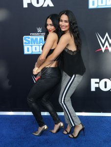 Brie Bella Sexy TheFappeningBlog.com 54.jpg