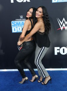 Brie Bella Sexy TheFappeningBlog.com 53.jpg