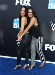 Brie Bella Sexy TheFappeningBlog.com 55.jpg