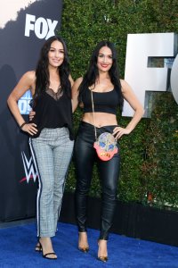 Brie Bella Sexy TheFappeningBlog.com 59.jpg