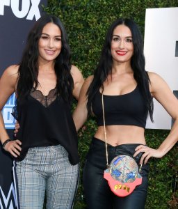Brie Bella Sexy TheFappeningBlog.com 58.jpg