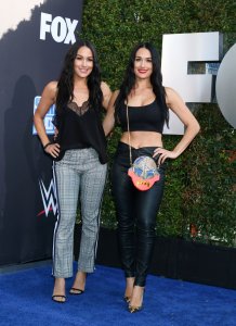 Brie Bella Sexy TheFappeningBlog.com 60.jpg