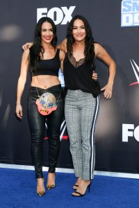 Brie Bella Sexy TheFappeningBlog.com 62.jpg