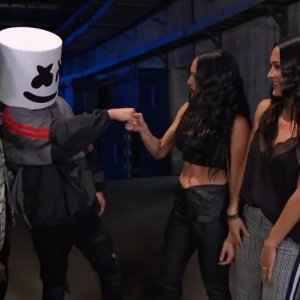 Brie Bella Sexy TheFappeningBlog.com 69.jpg