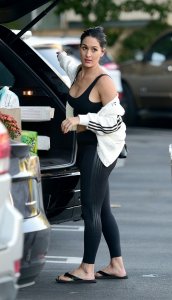 Nikki Bella Sexy TheFappeningBlog.com 43.jpg