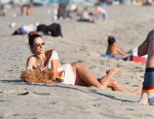 Alessandra Ambrosio Sexy TheFappeningBlog.com 31.jpg