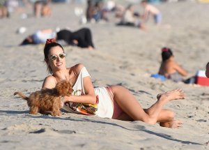 Alessandra Ambrosio Sexy TheFappeningBlog.com 34.jpg