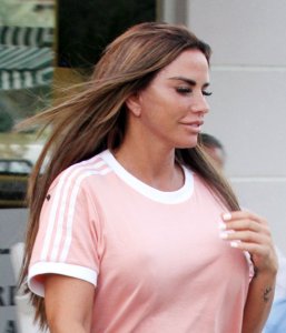 Katie Price Braless TheFappeningBlog.com 2.jpg