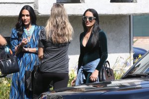 Brie Bella, Nikki Bella Sexy TheFappeningBlog.com 4.jpg