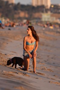 Alessandra Ambrosio Sexy TheFappeningBlog.com 53.jpg