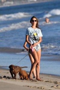Alessandra Ambrosio Hot TheFappeningBlog.com 96.jpg