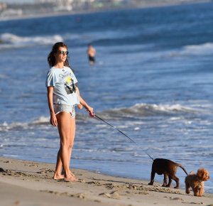 Alessandra Ambrosio Hot TheFappeningBlog.com 101.jpg