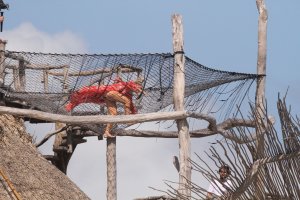 Hofit Golan, Natalia Barulich Sexy TheFappeningBlog.com 47.jpg