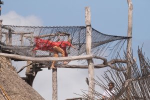 Hofit Golan, Natalia Barulich Sexy TheFappeningBlog.com 48.jpg