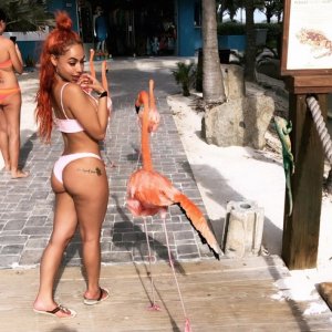 DJ Blue Diamond Nude & Sexy TheFappeningBlog.com 51.jpg