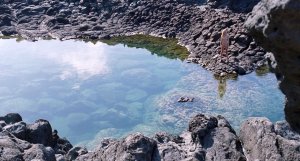 Dakota Johnson Nude 6.jpg