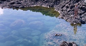 Dakota Johnson Nude 1.jpg