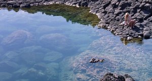 Dakota Johnson Nude 7.jpg