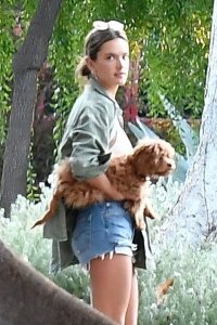 Alessandra Ambrosio Sexy TheFappeningBlog.com 3.jpg