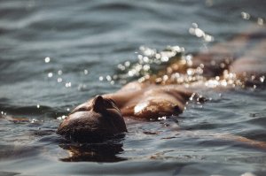 Clara Dassié Nude TheFappeningBlog.com 10.jpg Clara Dassié Nude TheFappeningBlog.com 10.jpg